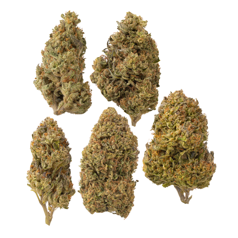 Greenhouse Sampler | Preston Herb Co